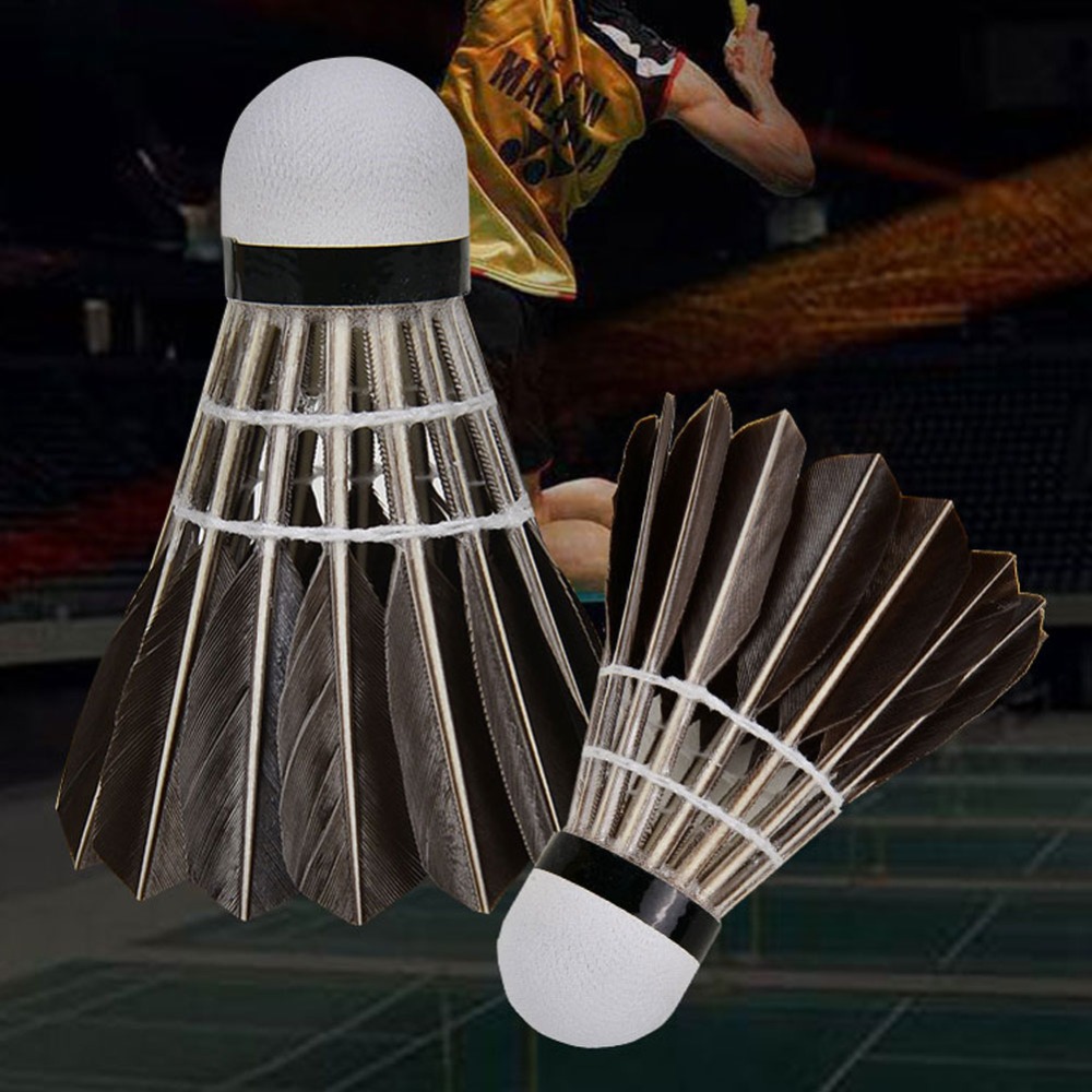 3/6/12개입 액세서리 안정적인 스포츠용 전문가용 내 - Badminton Bwf 리뷰 및 가격